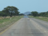 Namibia, Hochzeit, Reise, Bilder, Fotos - img_5057.jpg